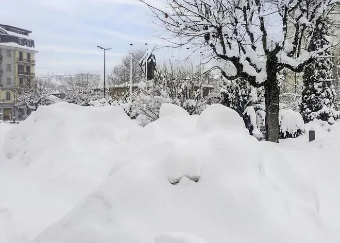 公寓 Le Bois Du Bouchet-8 By Interhome 霞慕尼